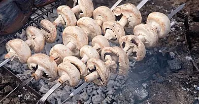 Pievagrybių šašlykai