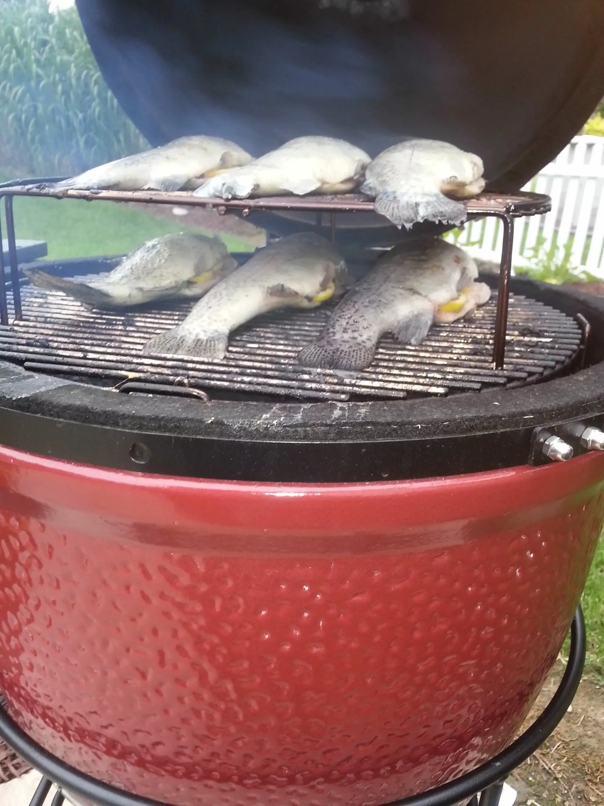 Rūkyta žuvis kamado tipo kepsninėje - rūkyti ešeriai