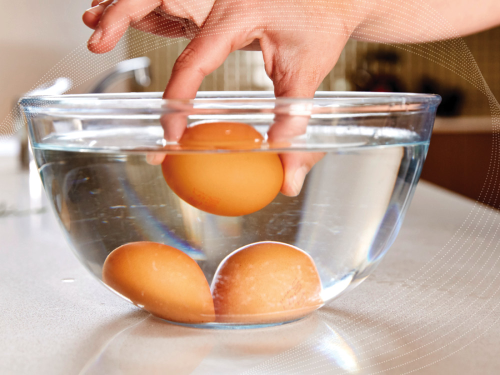 Празднуем День яйца: 10 занятных рецептов