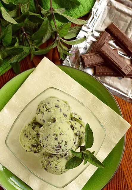 Mėtiniai ledai su šokolado gabaliukais