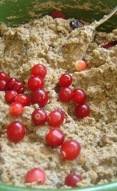 Vištienos kepenėlių paštetas su grybais ir spanguolėmis