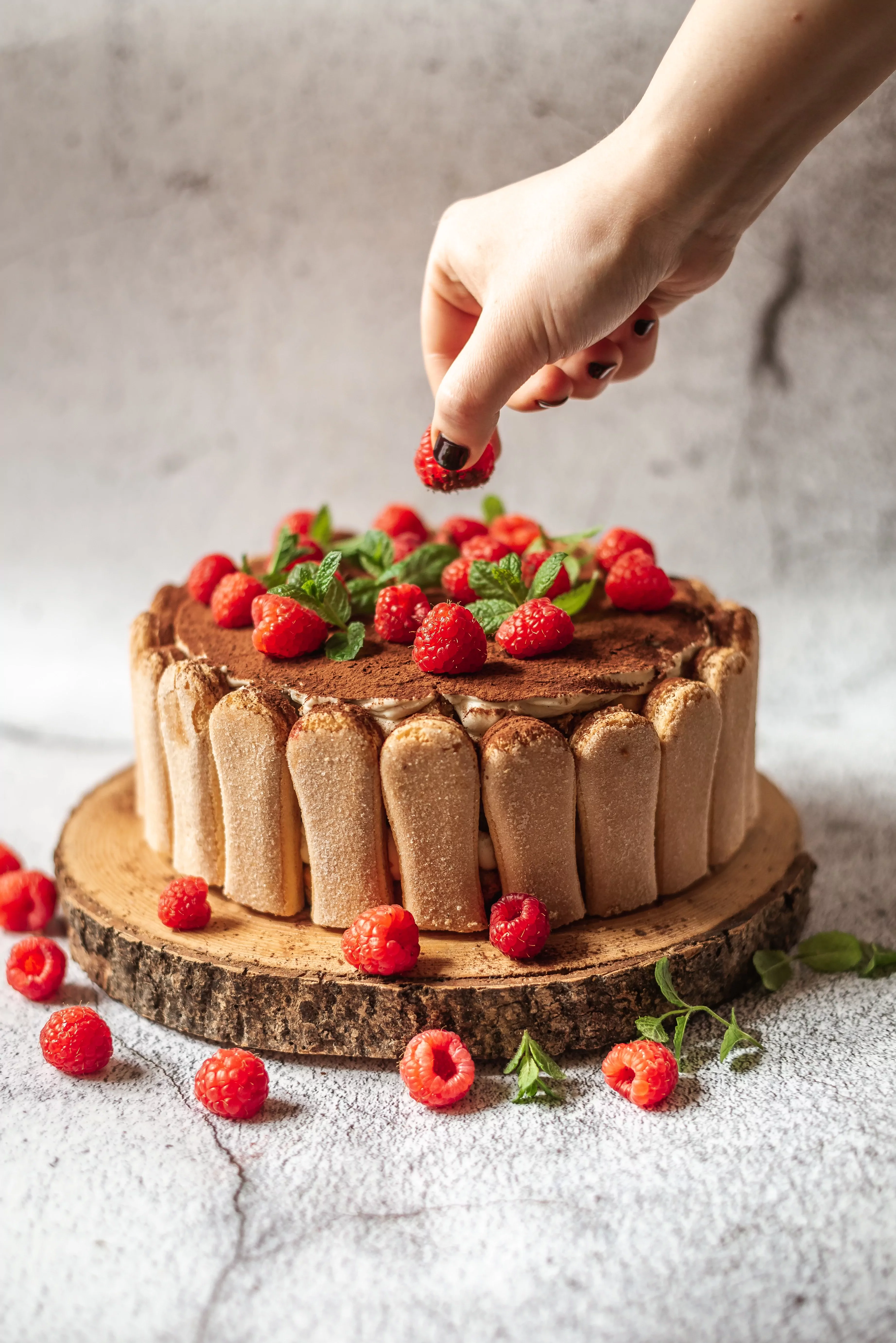Tiramisu tortas su uogomis, maskarponės sūriu, grietinėle ir kava