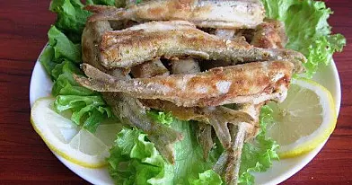 Keptos stintos