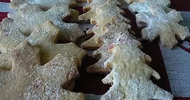 Trapios tešlos sausainiai su spanguolėm