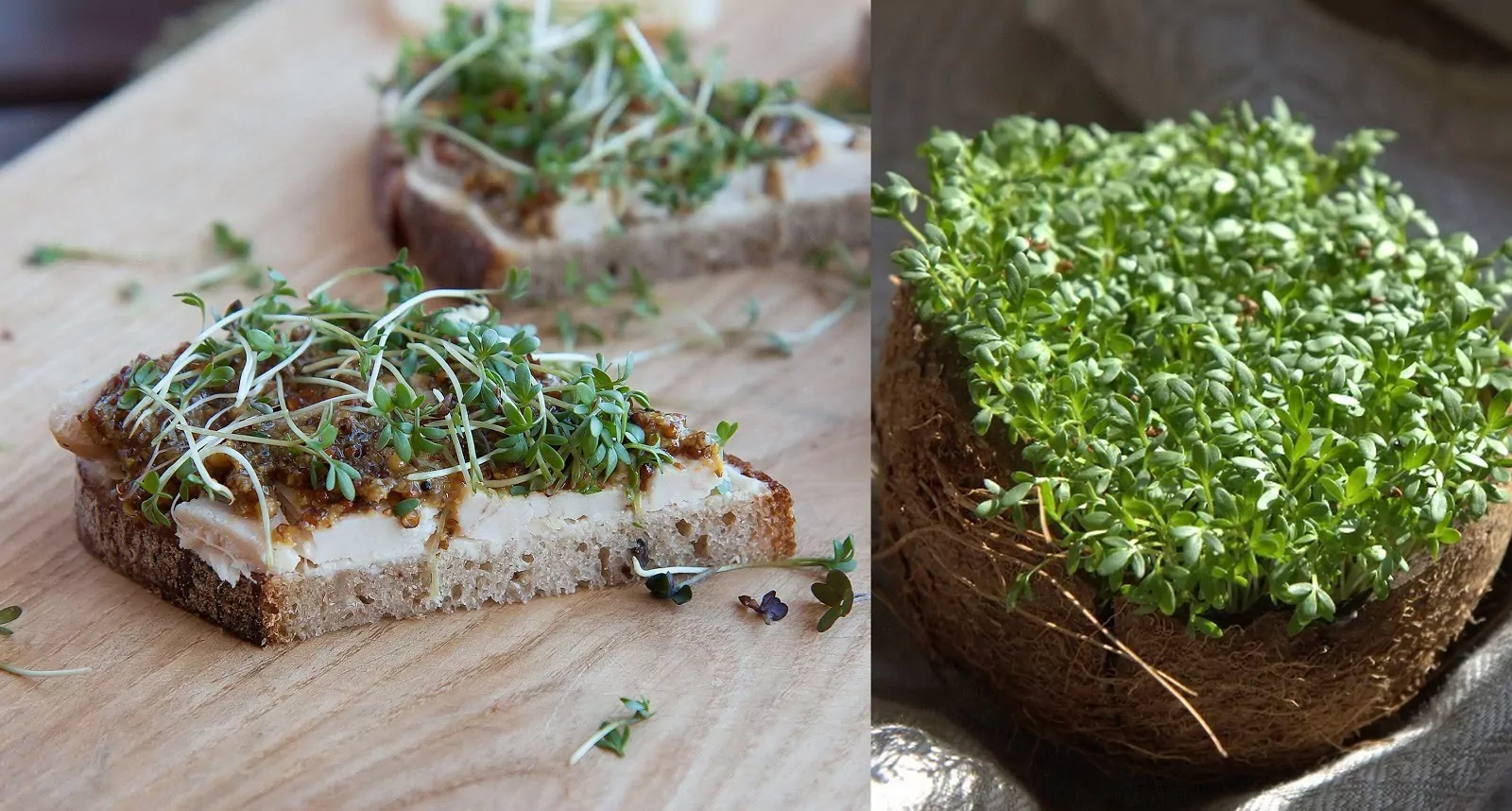 Naminės grūdėtosios garstyčios