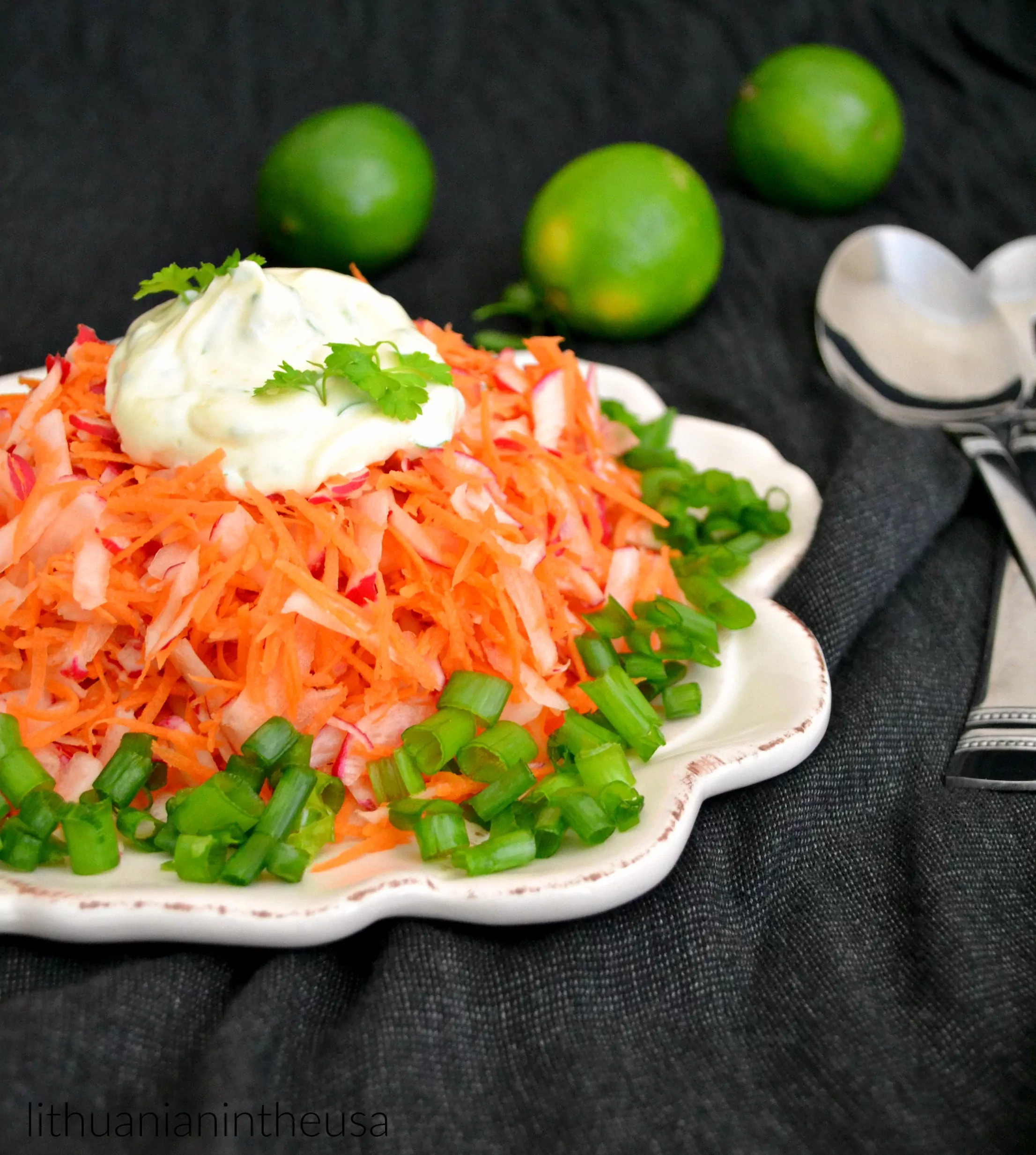 Gaivios morkų ir ridikėlių salotos