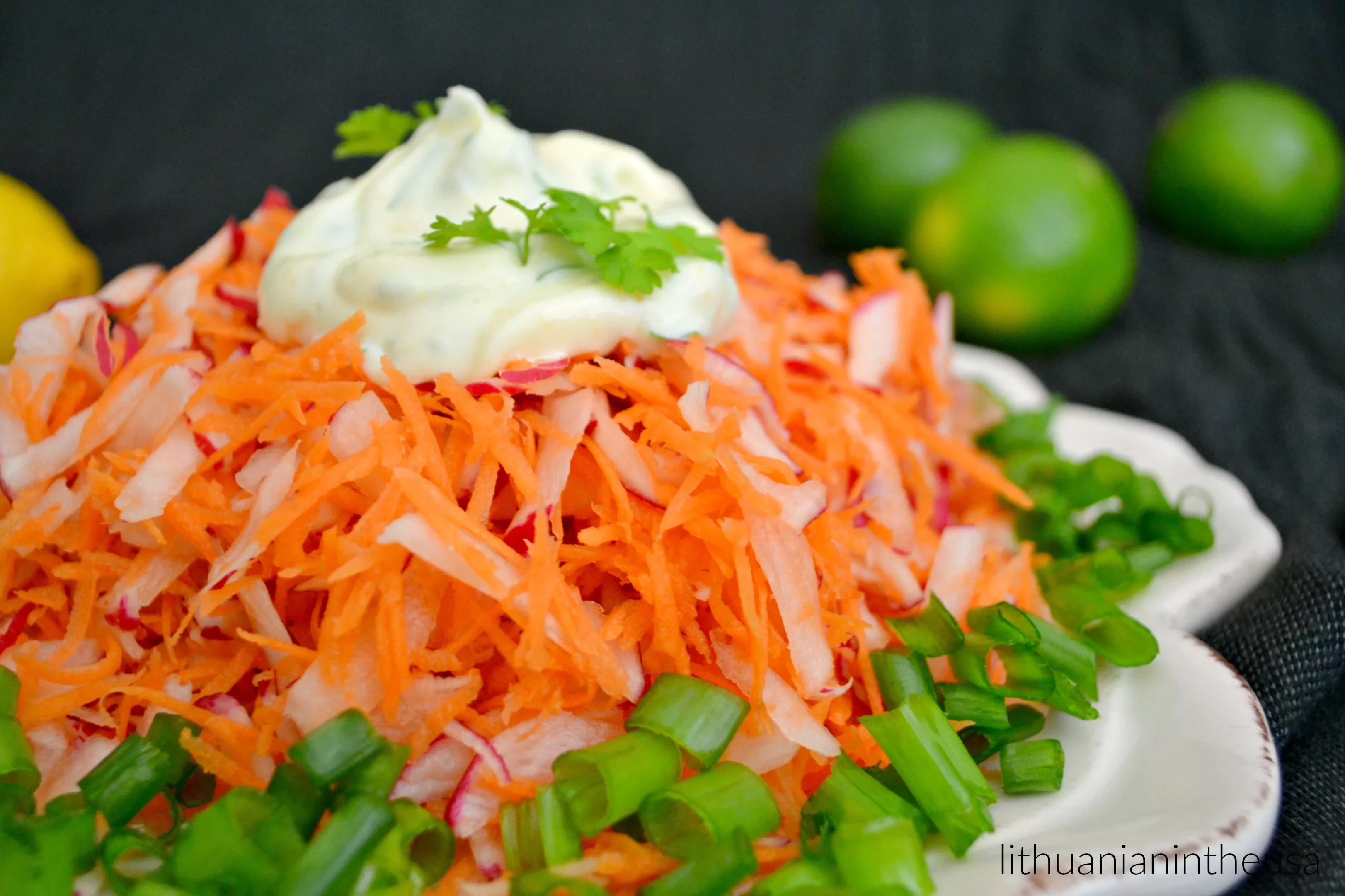 Gaivios morkų ir ridikėlių salotos