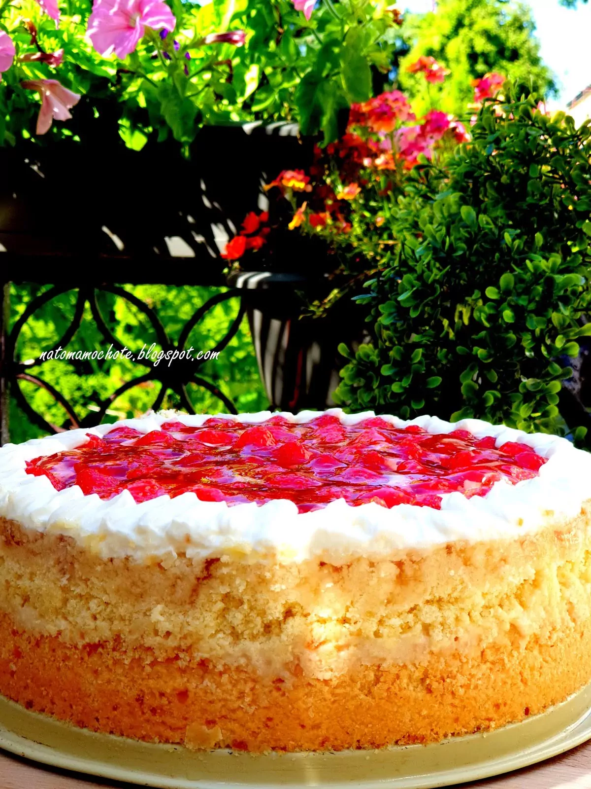 Ciasto - torcik budyniowy z bitą śmietaną i galaretką z truskawkami