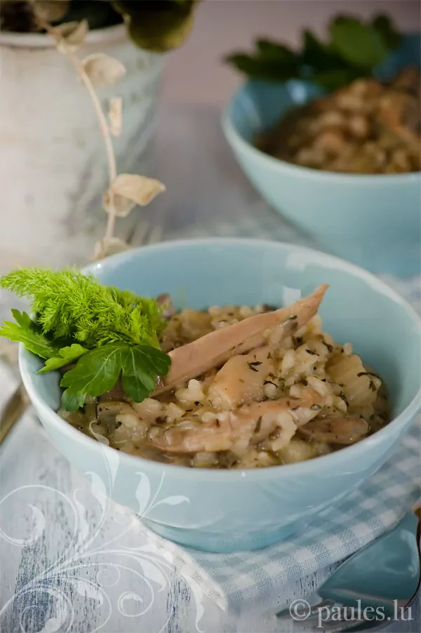 Austernpilz-Fenchel-Risotto