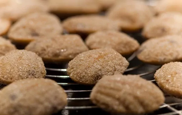 Bananen Mini Kuchen mit getrockneten Cranberries