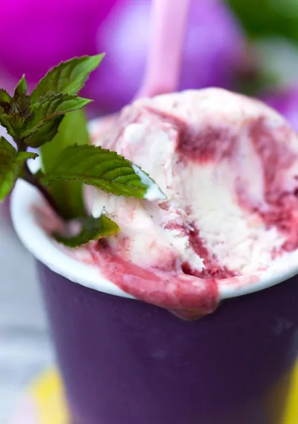 Cremiges Joghurteis mit Pflaumen-Swirl