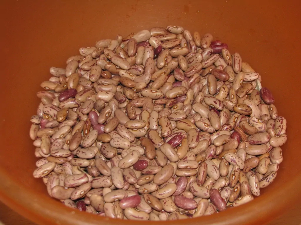 Liellopa gaļas sautējums ar pupiņām, ananāsiem un papriku