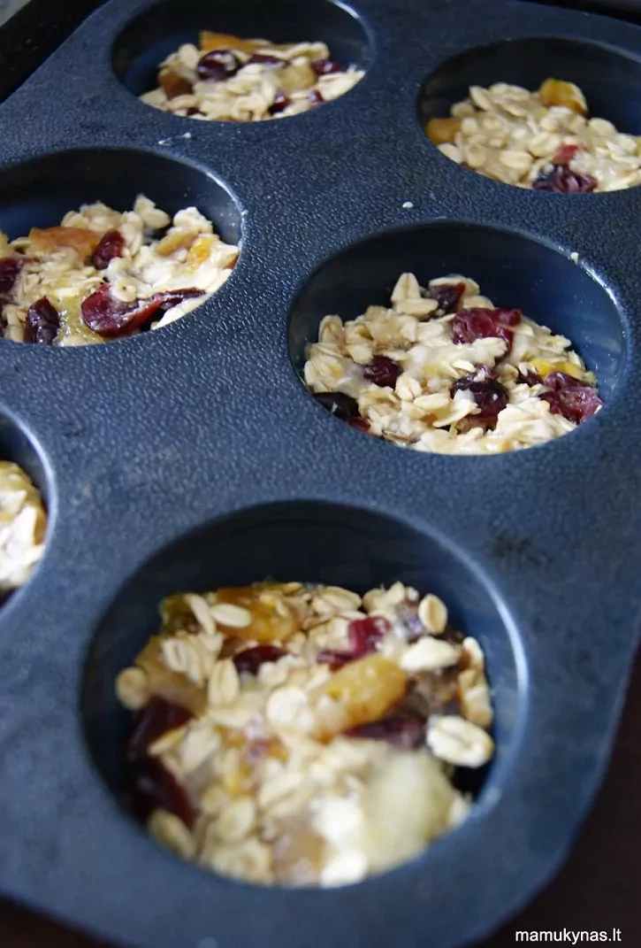 Kitokie avižiniai sausainiai su džiovintais vaisiais