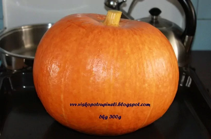 Troškinys su vištiena moliūgo puodynėje