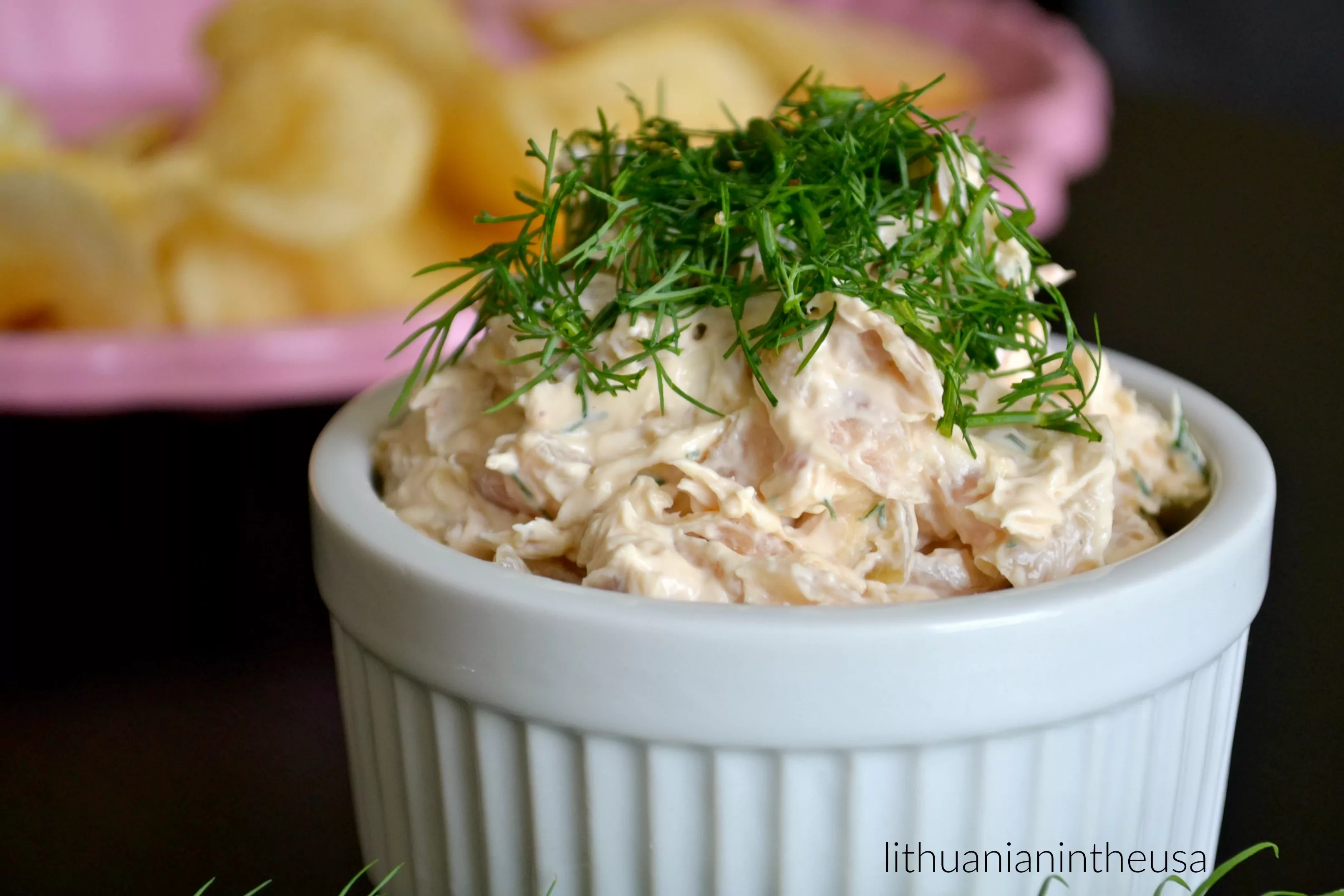 Karamelizuotų svogūnų padažas