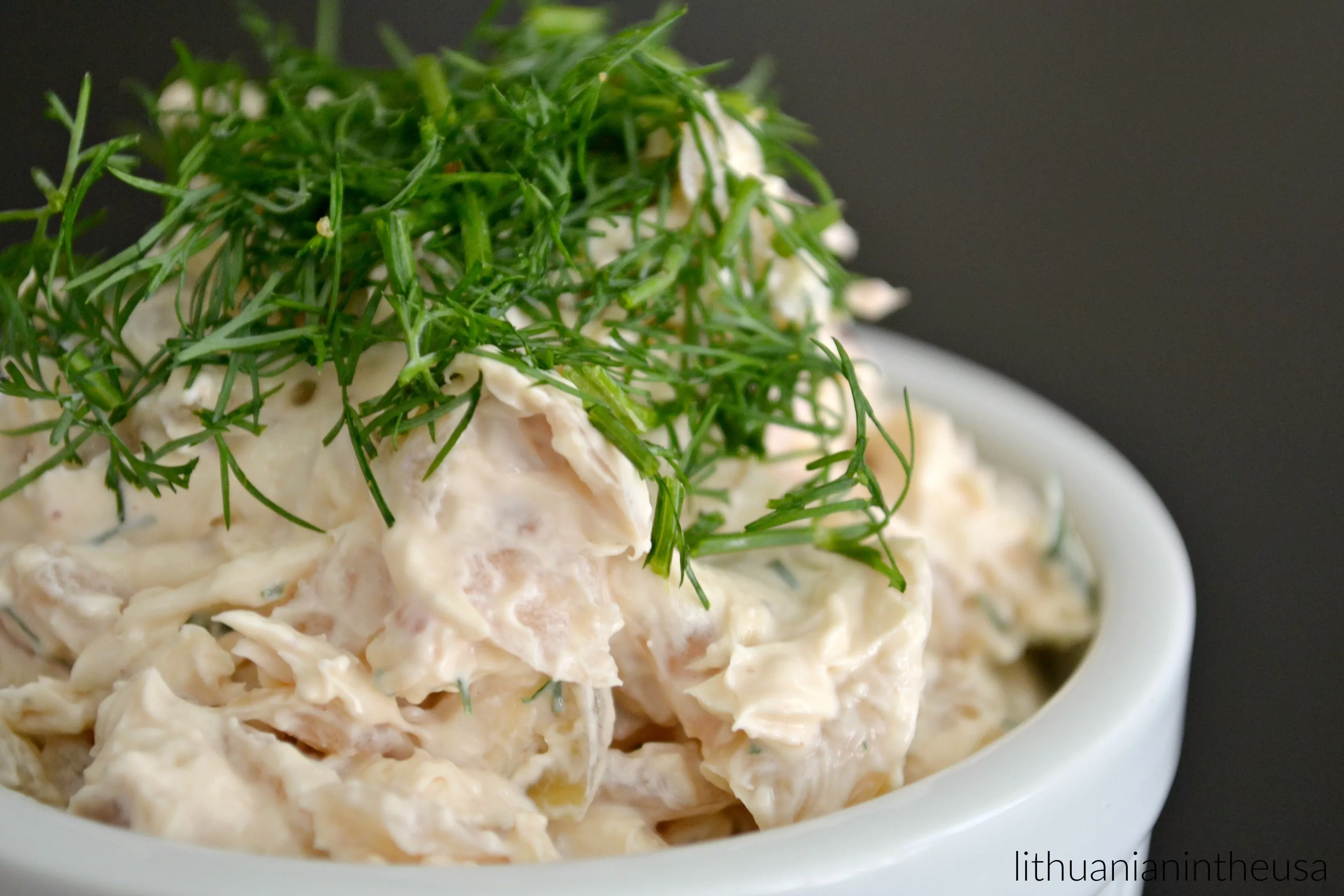 Karamelizuotų svogūnų padažas