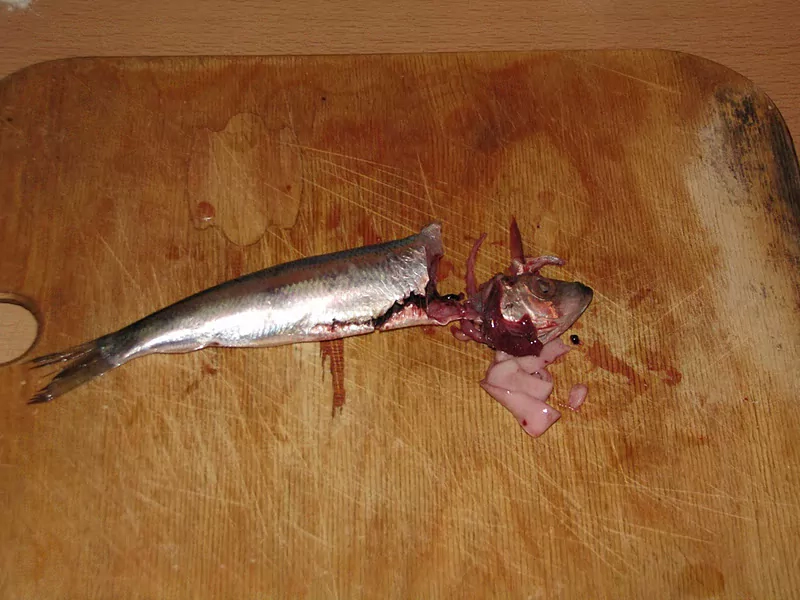 Ceptas reņģes tomātu mērcē