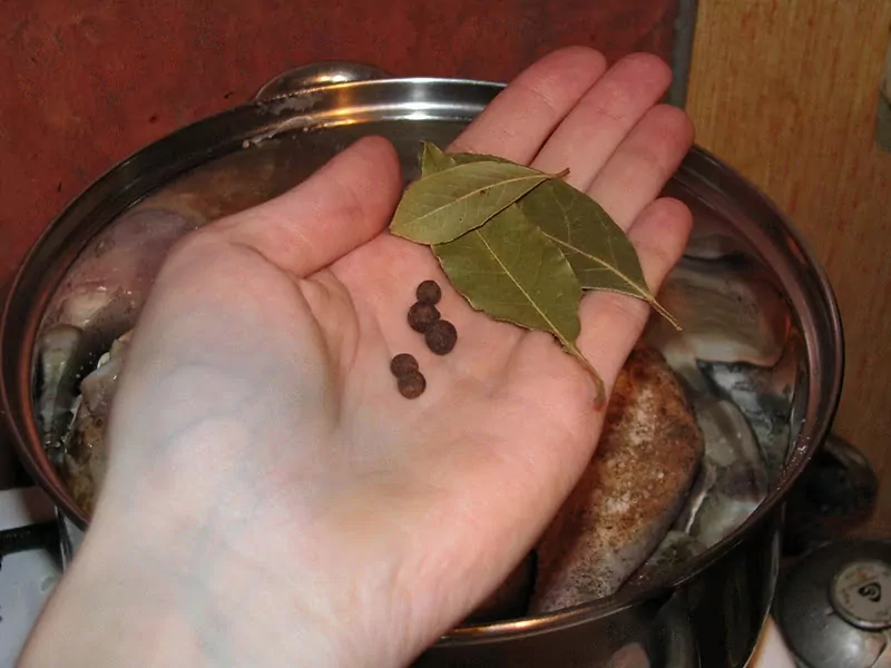 Sautēti (šmorēti) vistu stilbiņi ar burkāniem un skābo krējumu