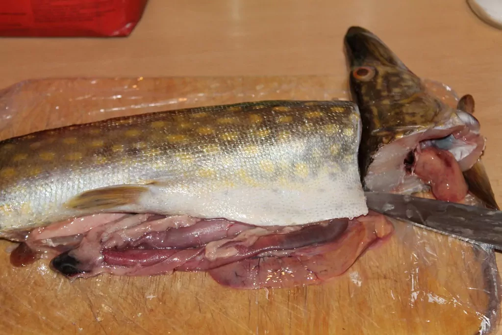 Līdakas kotletes ar baltmaizi