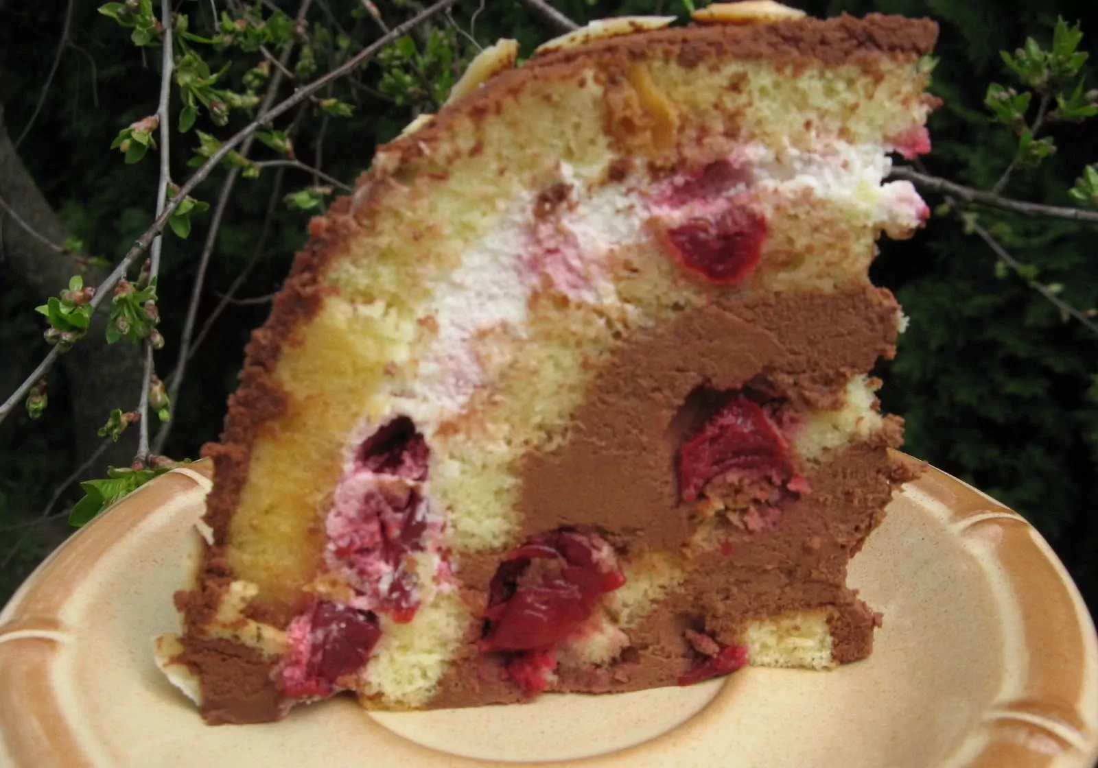 Tortas "Šokoladinis - vyšninis kupolas" - visų labai išgirtas!