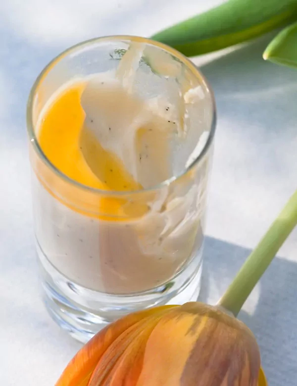 Joghurt Honig Panna Cotta mit Maracuja Sauce