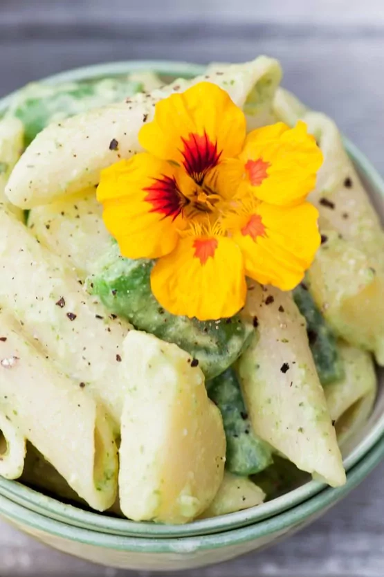 Pastasalat alla Genovese - Nudelsalat mit grünen Bohnen, Kartoffeln und Pesto