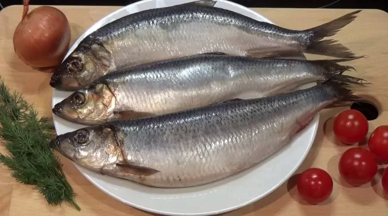 Kaip skaniai sūdyti silkę? Išsaugokite receptą!