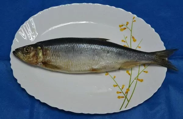 Kaip skaniai sūdyti silkę? Išsaugokite receptą!