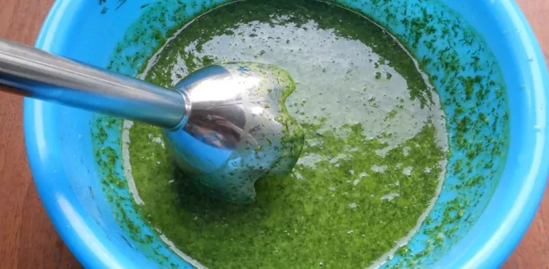 Krapų padažas: dabar mėgstami aromatingi žalumynai prieinami ištisus metus