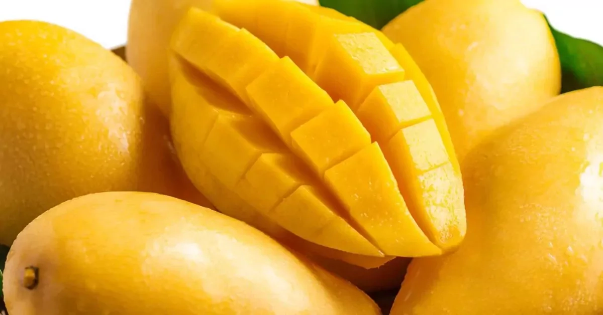 Польза манго для организма и здоровья