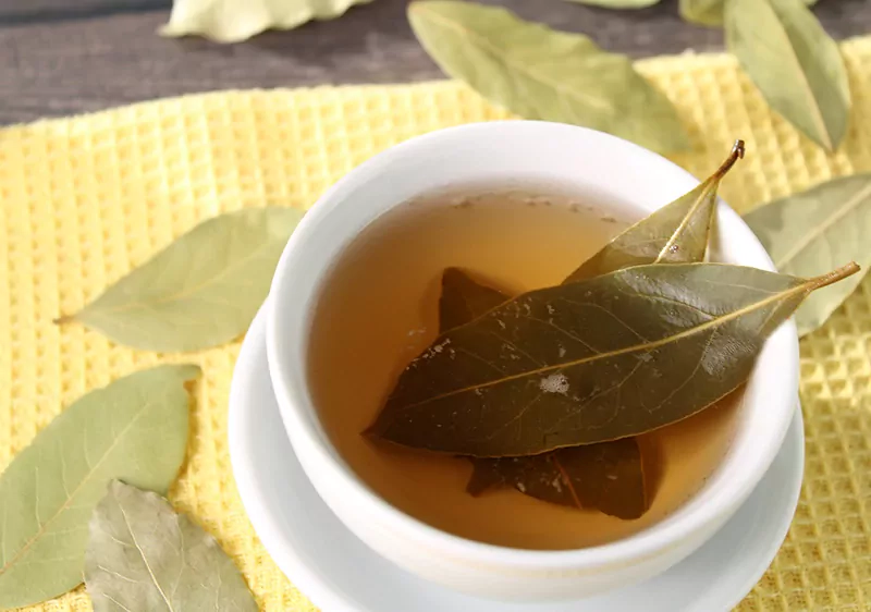 Чай из лаврового листа и гвоздики — польза и рецепт