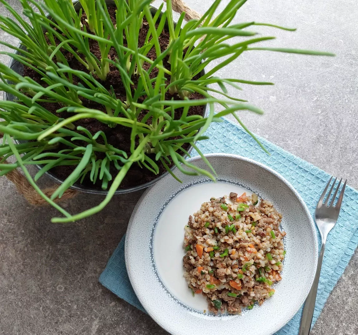 Grikiai su jautienos faršu