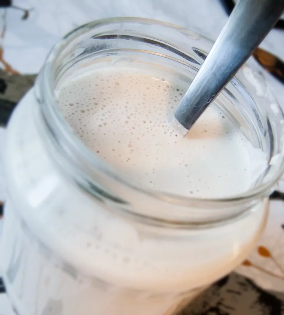 Veganiška naminė anakardžių grietinė - patinka ne tik veganams! Veganiška naminė anakardžių grietinė - patinka ne tik veganams!