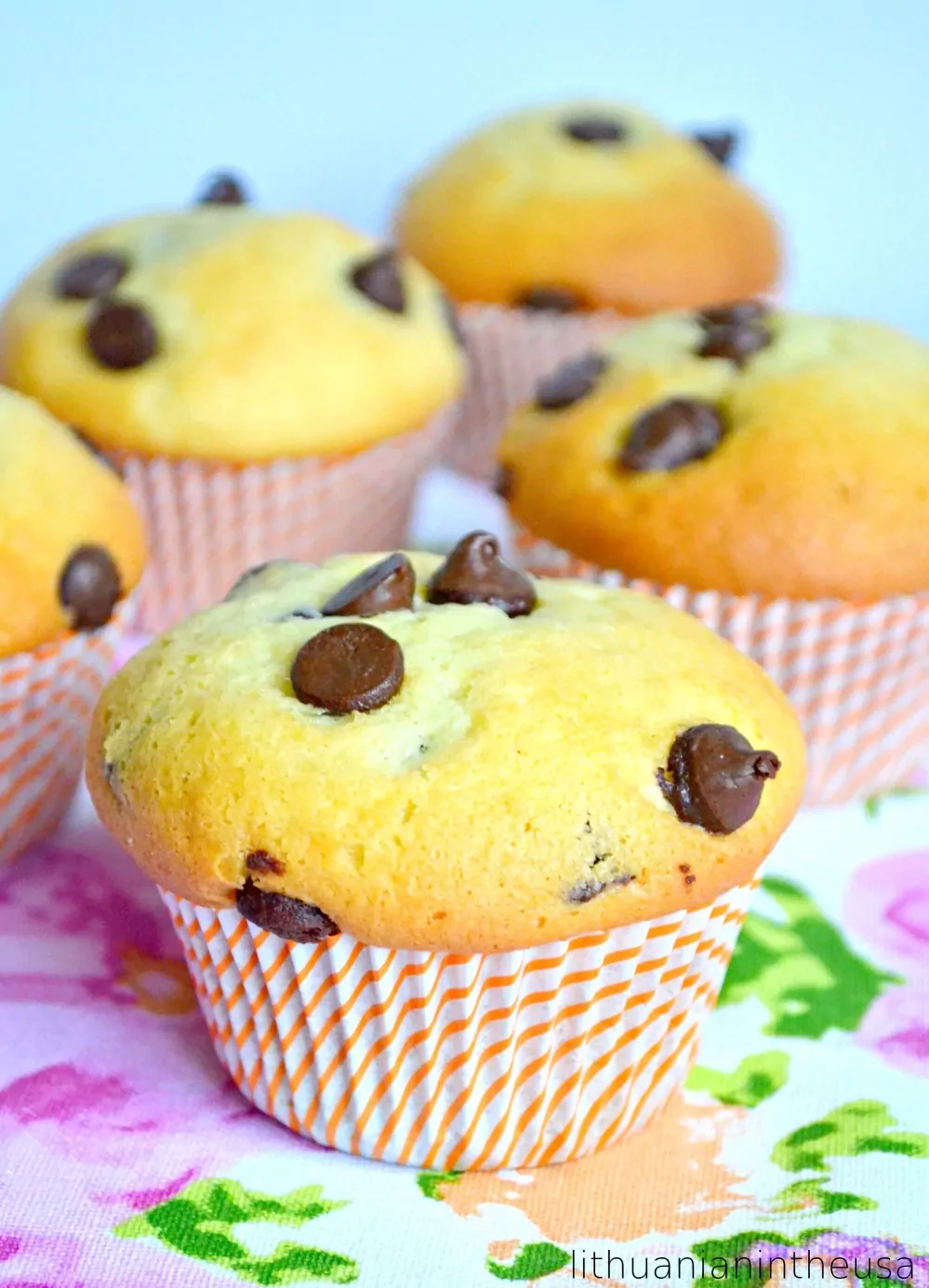 Pūkainas cupcakes ar šokolādes gabaliņiem, gatavotas ar pienu.