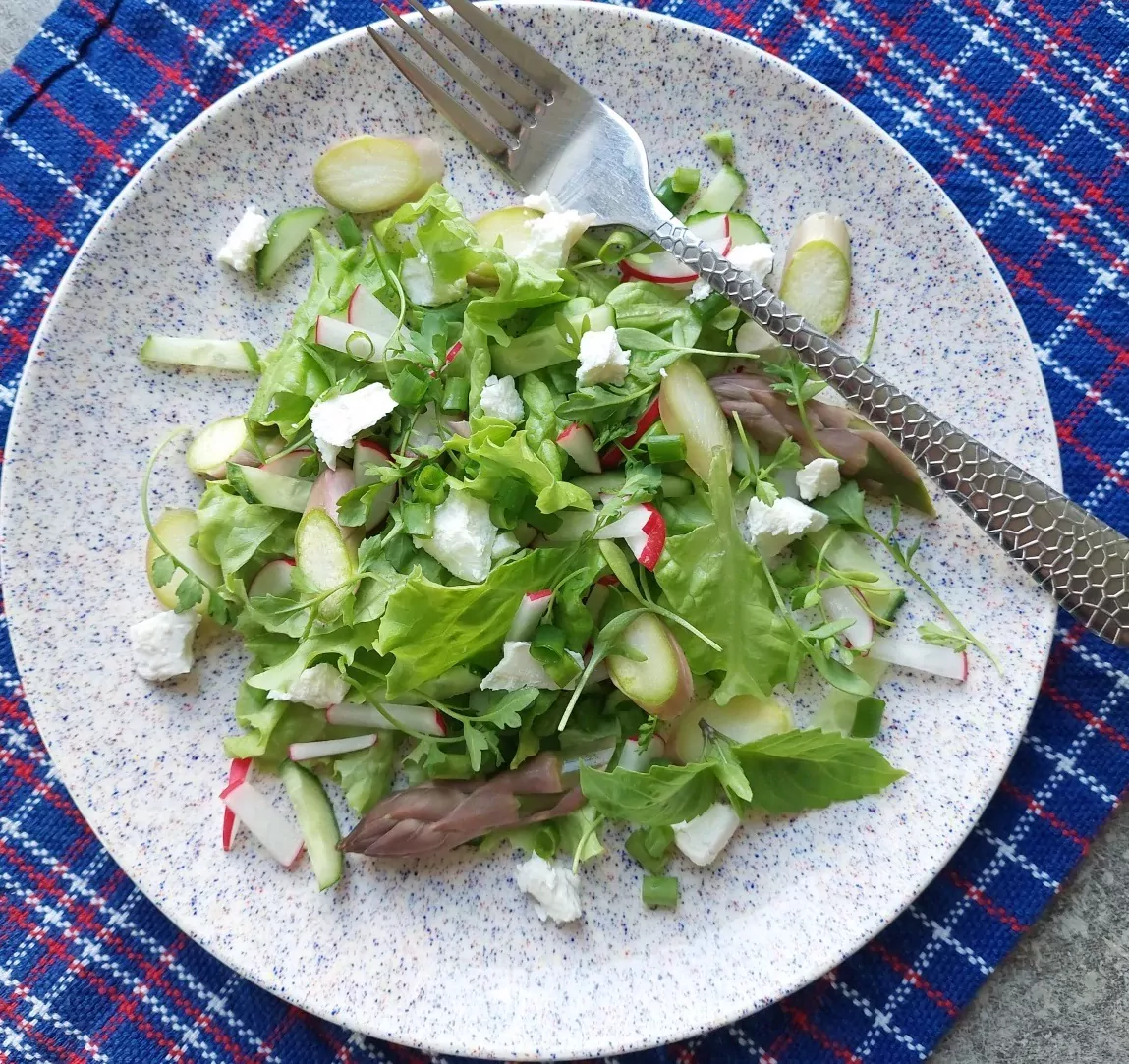 Ridikėlių salotos su smidrais, agurkais ir feta sūriu
