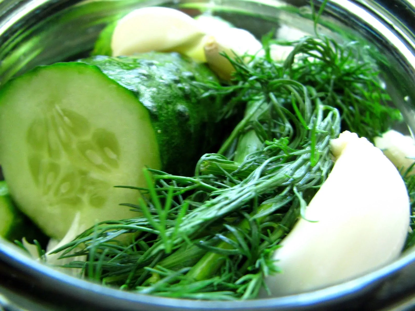 Ogórki Małosolne z czosnkiem, chrzanem i koperkiem