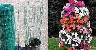 Kai į žemę įdėjau šį daiktą, vos po 4 savaičių man pavydėjo visi kaimynai!