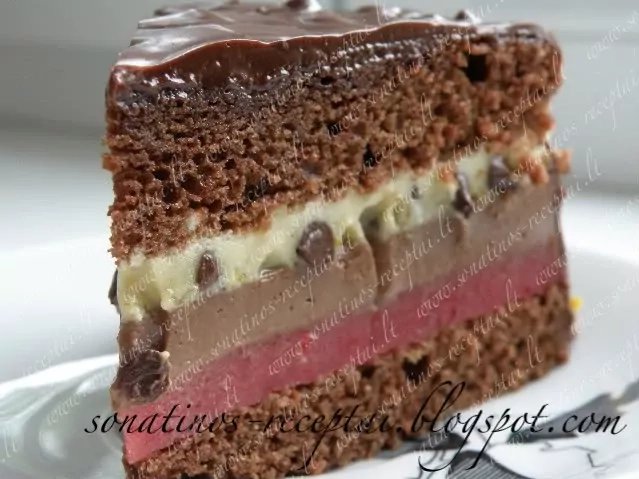 Šokoladinis tortas su avietėmis ir pistacijomis