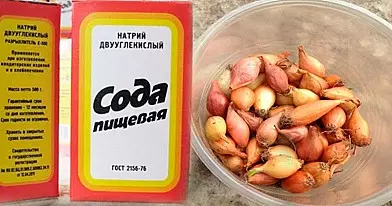 Svogūnai sodos tirpale. Rezultatas sode VISUS nustebins!