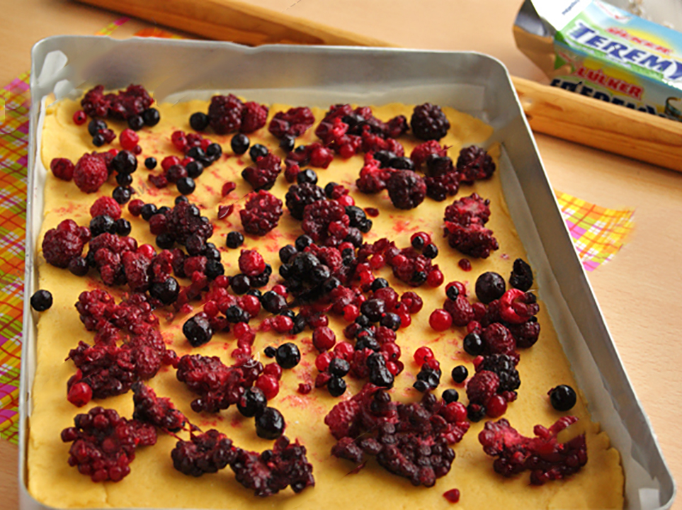 tešla su šaldytomis uogomis