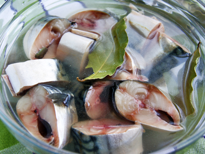 palikta marinuotis skumbrė