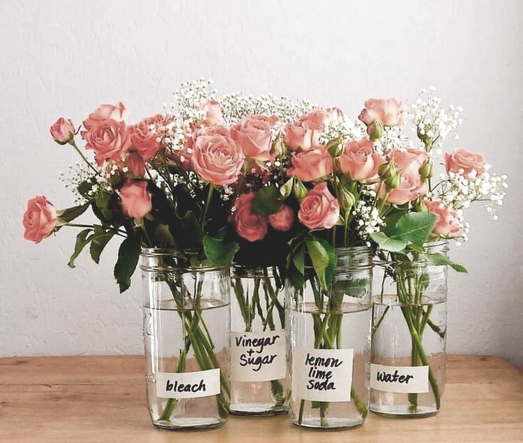 prailginame gėlių puokštės žydėjimą