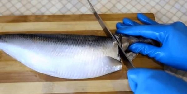 nupjauname silkės galvą