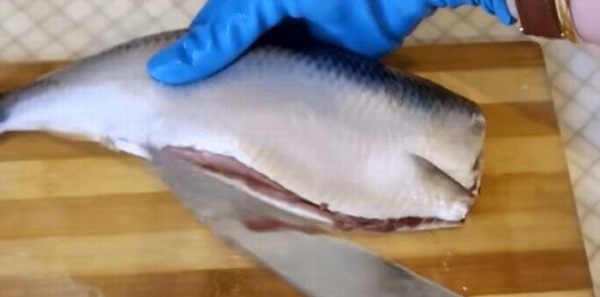 perpjauname silkės pilvą