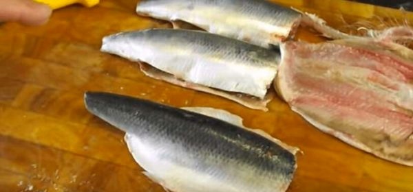 silkė ant lentelės