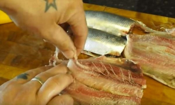 silkės stuburo pradžia