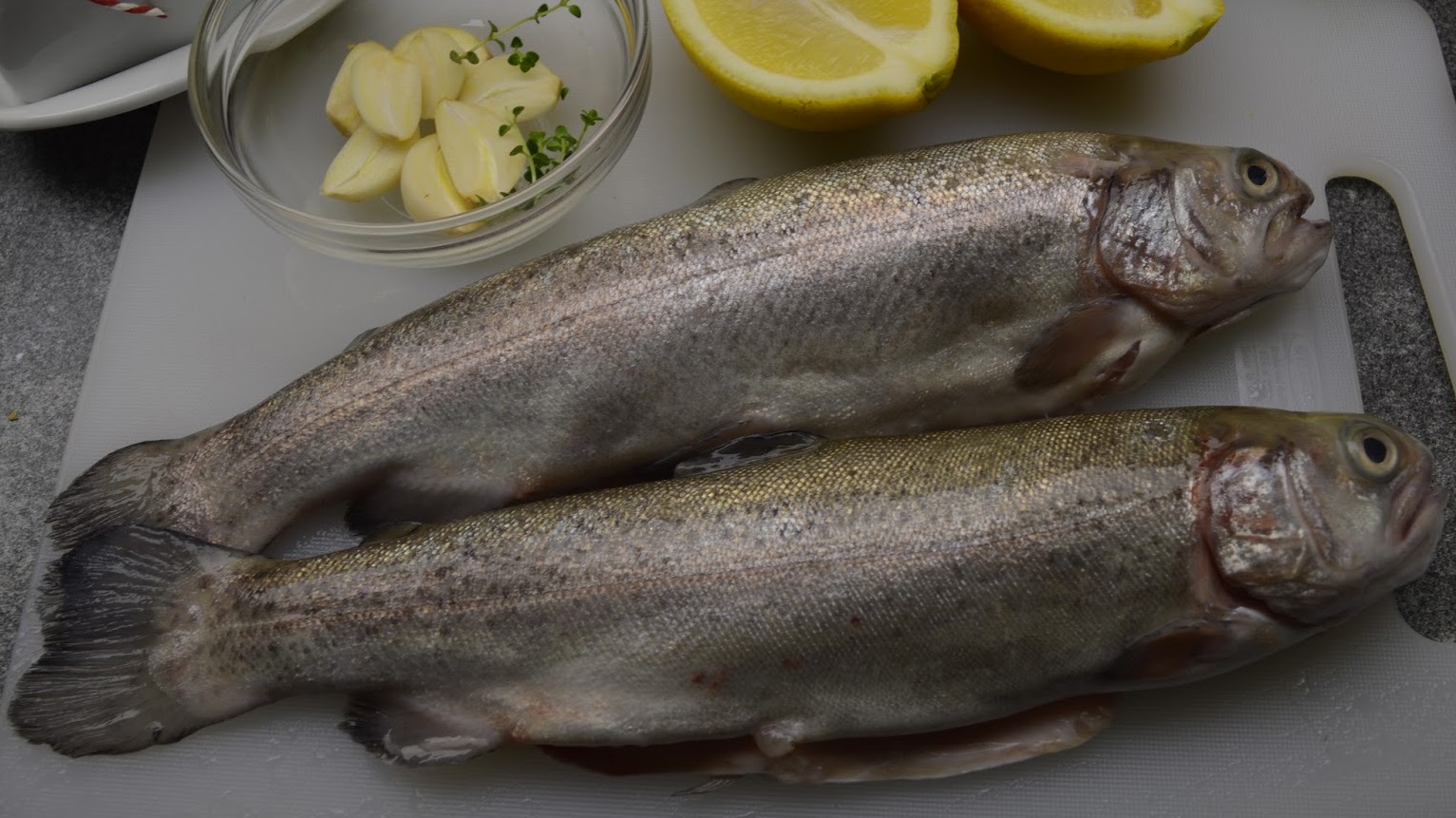 nuplauti ir nusausinti upėtakiai