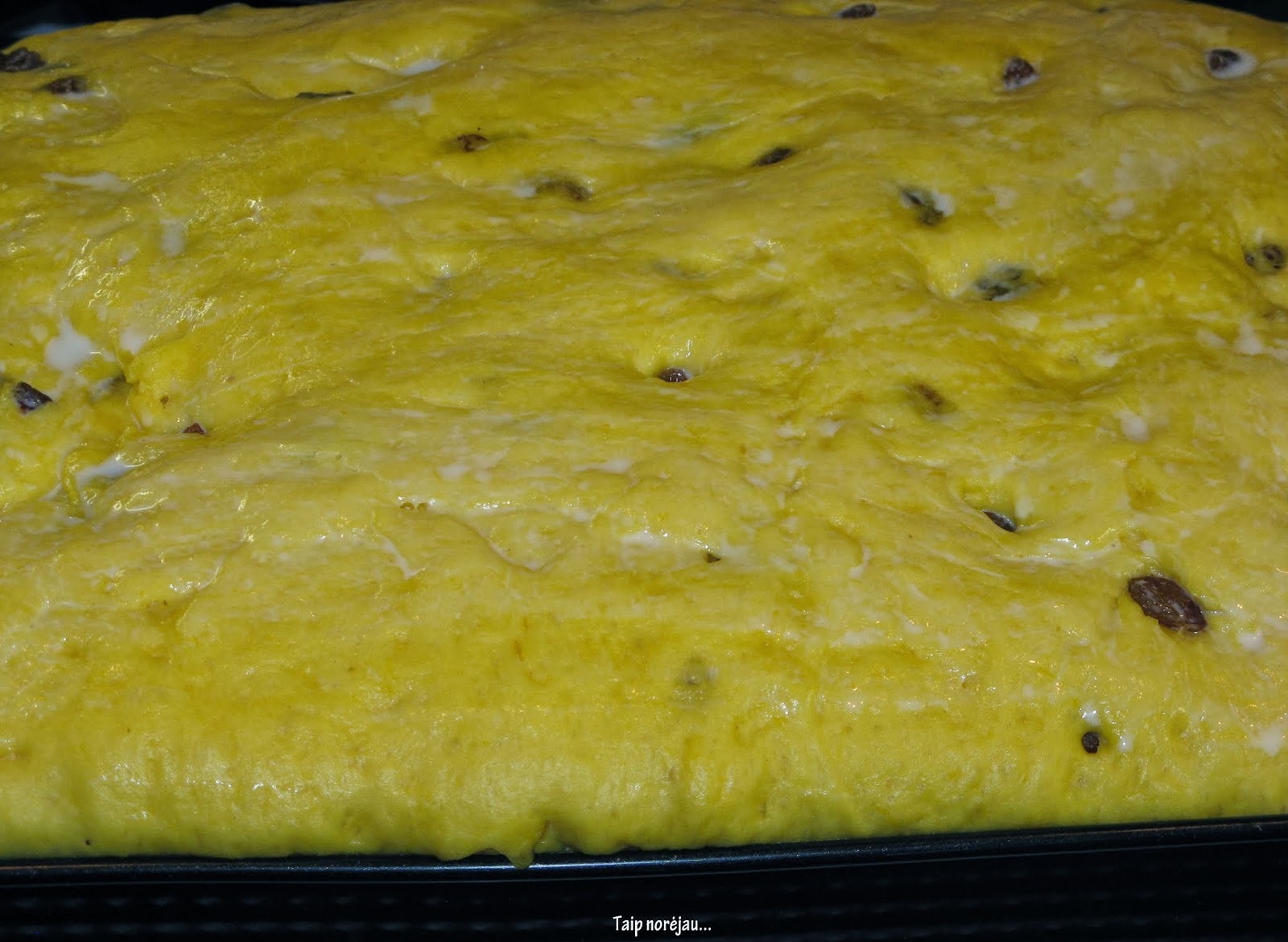 mielinis moliūgų pyragas kepimo skardoje