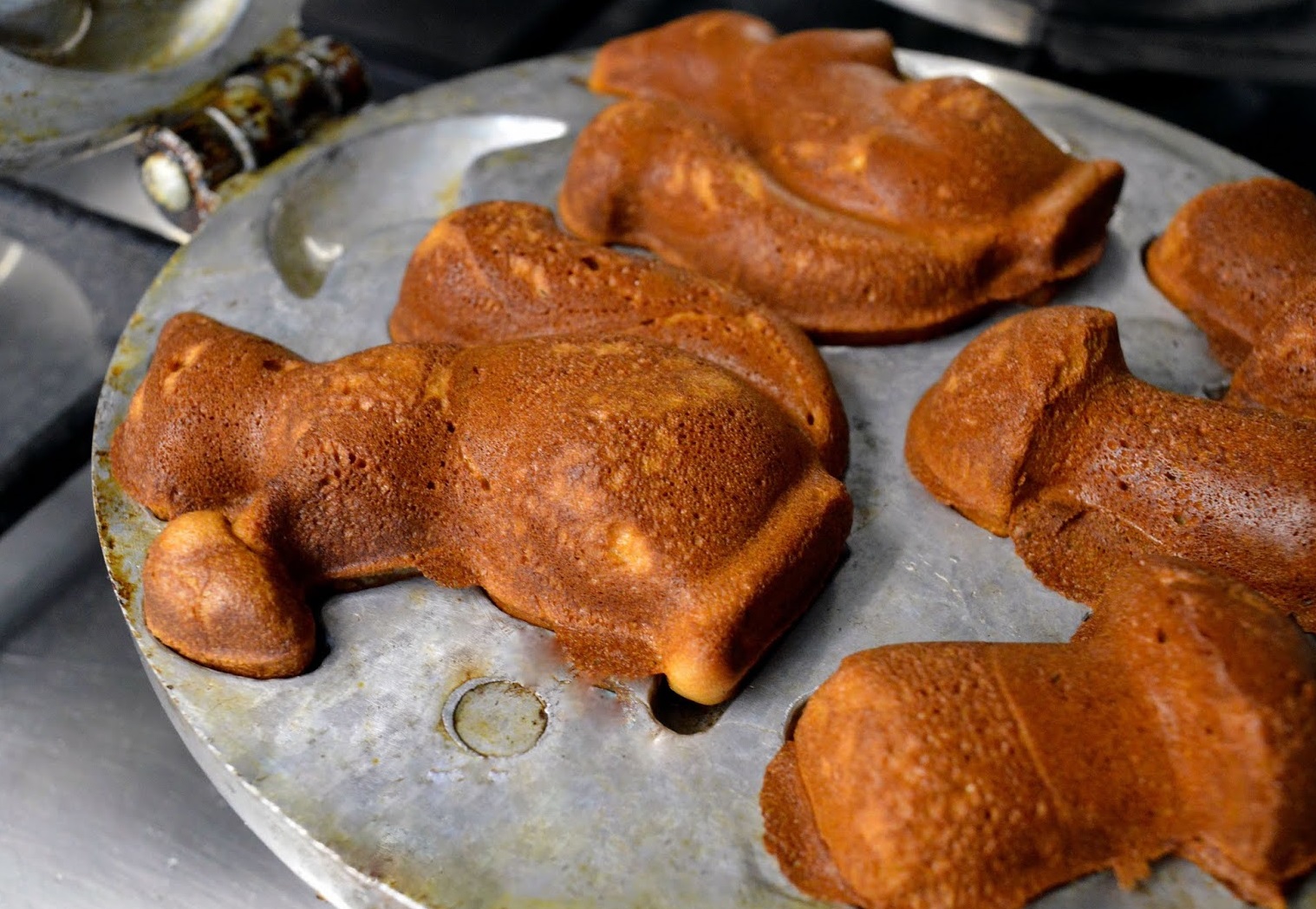 iškepusios medaus voveraitės