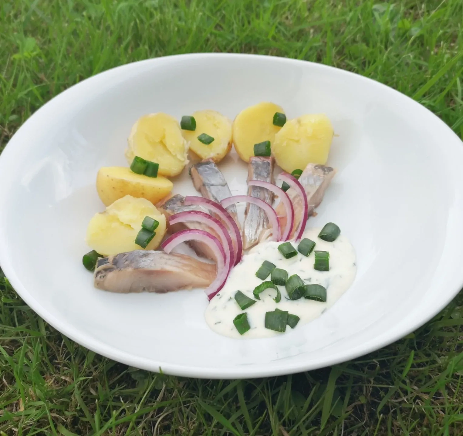 Silkė su bulvėmis ir jogurtiniu, medaus bei krienų padažu